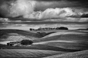 Farm Landscape, Overberg, South Africa (2017)